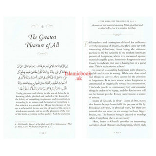 A Treasury of Ghazali : A Companion For The Untethered Soul (Treasury in Islamic Thought and Civilization) By Imam al-Ghazali