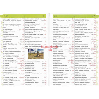 Dictionary Al Kafi Double English, Arabic & Arabic English
