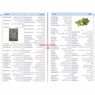 Dictionary Al Kafi Double English, Arabic & Arabic English