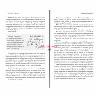 Healing the Emptiness by Yasmin Mogahed