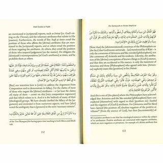 Ibn Taymiyyah on Divine Simplicity