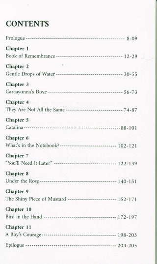 Shadows Of Strangers | Osman Latiff