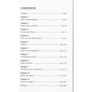 Shadows of Strangers by Dr Osman Latif
ISBN 9781738463824
