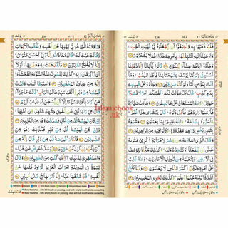 The Holy Quran Tajweed Rules with Colour Coded (Pocket Size) (Persian/Urdu script)