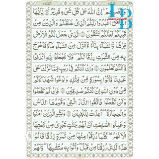 The Quran Arabic Only , 13 Lines Pakistani / Indian/ Persian Script  Cream paper (Size XL,13.5 x 10 x 1.7 Inch) 2010 Edition ,(Ref 111-2010)