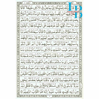 The Quran Arabic Only, 15 Lines Pakistani / Indian/ Persian Script (Size XL, 13.5 x 10 x 1.3 Inch) (Ref 211)