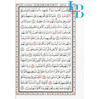 Al Quran Al Kareem - Mushaf Uthmani Beirut Print XL Size (35X25 CM)