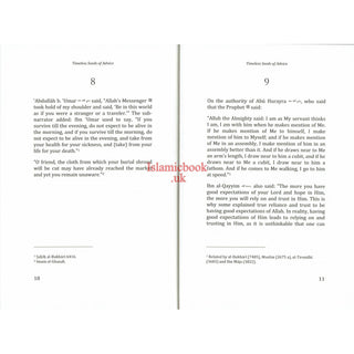 Timeless Seeds of Advice by B. B. Abdullah