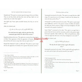 Wandering of Spirits and Souls by Shaykh Mart ibn Yusuf